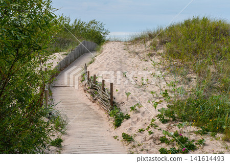 Wooden Boardwalk Through Baltic Sea Sand Dunes in Latvia Leading to Beach Across Coastal Nature Reserve Wooden Boardwalk Through Baltic Sea Sand Dunes in Latvia Leading to Beach Across Coastal Nature Reserve 141614493