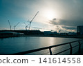 Cranes and the sea 141614558