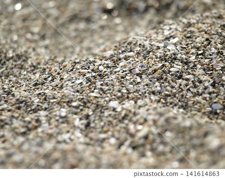 A close-up of a sandy beach mixed with seashells, with a background texture featuring shimmering bokeh. A close-up of a sandy beach mixed with seashells, with a background texture featuring shimmering bokeh. 141614863