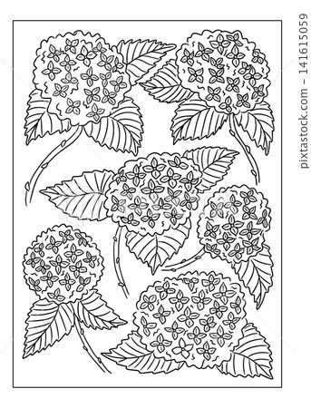 Black and white floral coloring page featuring multiple clusters of hydrangea flowers with detailed leaves and stems arranged in a symmetrical pattern for creative coloring activities Black and white floral coloring page featuring multiple clusters of hydrangea flowers with detailed leaves and stems arranged in a symmetrical pattern for creative coloring activities 141615059