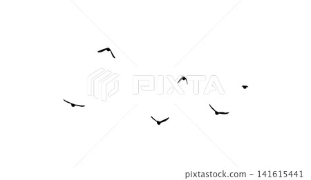 Flying birds silhouette flock. hand drawing. Not AI. Vector illustration Flying birds silhouette flock. hand drawing. Not AI. Vector illustration 141615441