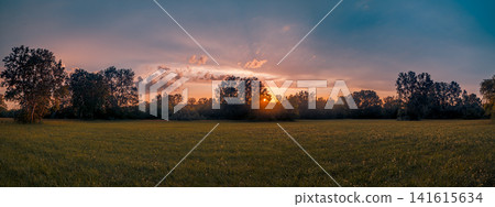 Serene panoramic rural landscape with trees on horizon under soft muted sky at dusk wide field. Perfect nature landscape countryside scenery. Peaceful minimal outdoors wellness scenic Serene panoramic rural landscape with trees on horizon under soft muted sky at dusk wide field. Perfect nature landscape countryside scenery. Peaceful minimal outdoors wellness scenic 141615634