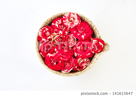 Variegated red white roses filling ceramic bowl on white 141615647