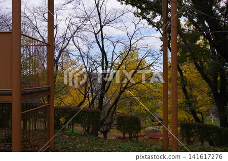 Ebina Shimizu Park Ginkgo Season 4 Ebina Shimizu Park Ginkgo Season 4 141617276