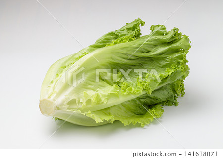 Green leaf lettuce placed against a white background Green leaf lettuce placed against a white background 141618071