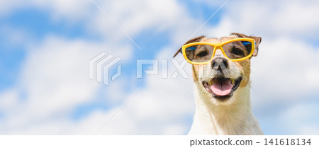 Happy Dog Wearing Sunglasses Against Sky for Summer Vacation Travel Banner with Copy Space Happy Dog Wearing Sunglasses Against Sky for Summer Vacation Travel Banner with Copy Space 141618134