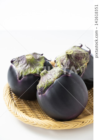 Kamo茄子 Kamo茄子 141618351