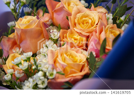 A close-up of rose flower. A close-up of rose flower. 141619705