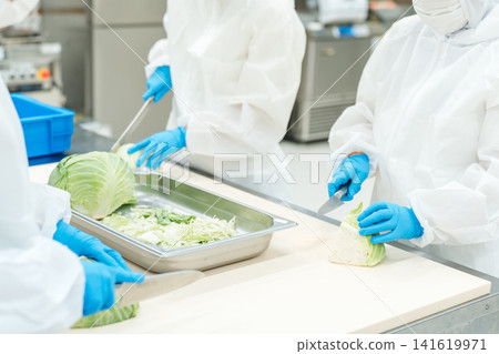 Male and female staff working in food processing wearing sanitary clothing (food hygiene, food factory, hygiene management) Male and female staff working in food processing wearing sanitary clothing (food hygiene, food factory, hygiene management) 141619971