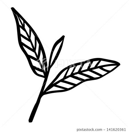 Hand-drawn style line art illustration of tea leaves and buds Hand-drawn style line art illustration of tea leaves and buds 141620361