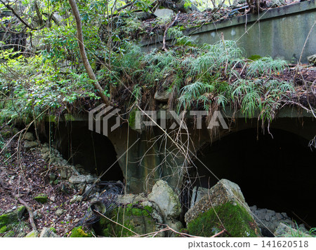 Ruins on Okunoshima Island: Storage Facility Ruins on Okunoshima Island: Storage Facility 141620518