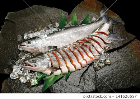 一張新鮮的秋鮭（幼鮭）和整片魚片擺放在鋪有冰塊和哈蘭葉的岩石床上的圖片。 141620657
