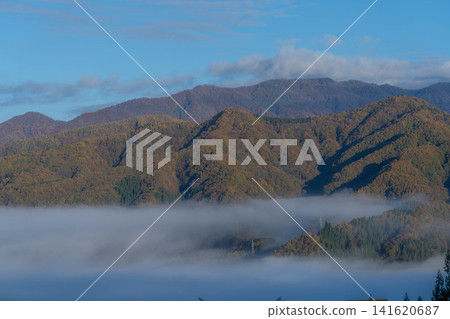 [Sea of Clouds Material] A village in the countryside at morning, submerged in a sea of clouds [Nagano Prefecture] 141620687