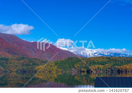 [Autumn foliage image] Lake Aoki in Nagano Prefecture, where autumn leaves have turned red as the season deepens. 141620787