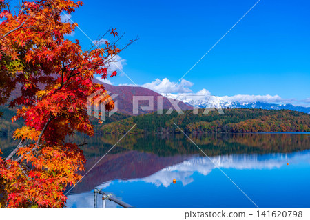 [Autumn foliage image] Lake Aoki in Nagano Prefecture, where autumn leaves have turned red as the season deepens. 141620798
