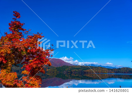 [Autumn foliage image] Lake Aoki in Nagano Prefecture, where autumn leaves have turned red as the season deepens. 141620801
