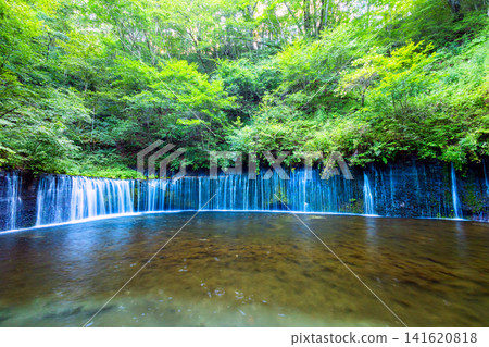 Green forest and Shiraito Falls Green forest and Shiraito Falls 141620818