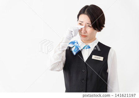A female attendant in uniform; travel image A female attendant in uniform; travel image 141621197