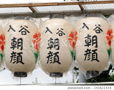 Lanterns at the Iriya Morning Glory Festival, Tokyo Lanterns at the Iriya Morning Glory Festival, Tokyo 141621434