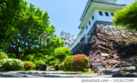 郡上八幡城 郡上八幡城 141621594