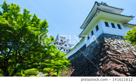 郡上八幡城 郡上八幡城 141621612