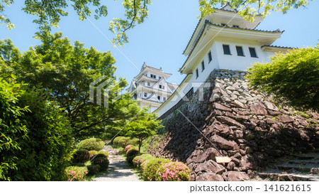 郡上八幡城 郡上八幡城 141621615