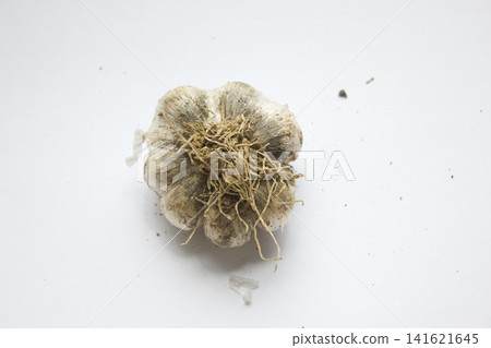 Garlic on a white background. 141621645