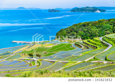 長崎，土屋梯田：五月，蔚藍的大海與翠綠的梯田形成鮮明對比，景色令人嘆為觀止。 141621652