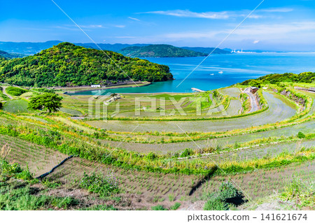 Nagasaki, Tsuchiya Rice Terraces: The contrast between the blue of the sea and the green of the rice terraces is stunning in May. Nagasaki, Tsuchiya Rice Terraces: The contrast between the blue of the sea and the green of the rice terraces is stunning in May. 141621674