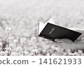 A Christian holding and reading the Holy Bible in a beautiful flower garden, background of faith and belief 141621933