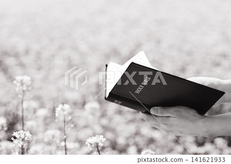 A Christian holding and reading the Holy Bible in a beautiful flower garden, background of faith and belief A Christian holding and reading the Holy Bible in a beautiful flower garden, background of faith and belief 141621933