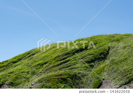 神奈川縣城島鬱鬱蔥蔥的綠色山丘景色。 141622038