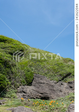 神奈川縣城島鬱鬱蔥蔥的綠色山丘景色。 神奈川縣城島鬱鬱蔥蔥的綠色山丘景色。 141622044