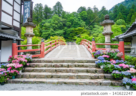 Uda City, Nara Prefecture: The Taiko Bridge at the entrance to Murō-ji Temple during the hydrangea season. Uda City, Nara Prefecture: The Taiko Bridge at the entrance to Murō-ji Temple during the hydrangea season. 141622247