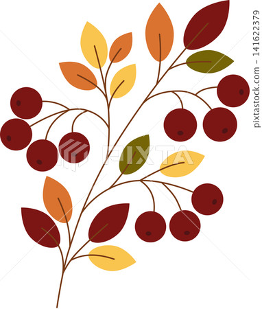 Autumn berry branch with colorful fall leaves flat vector illustration isolated on transparent background Autumn berry branch with colorful fall leaves flat vector illustration isolated on transparent background 141622379