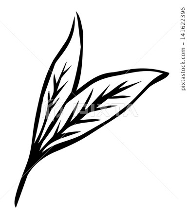 Sketch-style, natural hand-drawn line art of tea leaves Sketch-style, natural hand-drawn line art of tea leaves 141622396