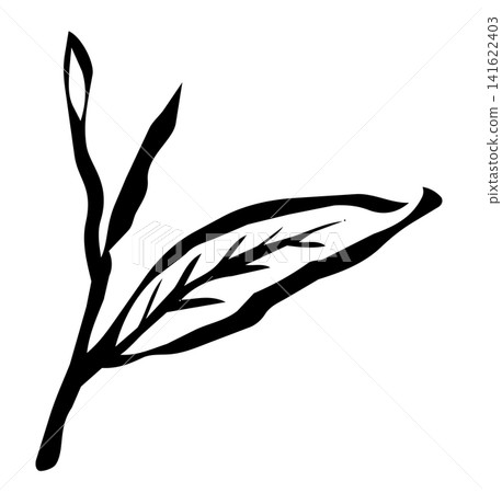 Sketch-style, natural hand-drawn line art of tea leaves Sketch-style, natural hand-drawn line art of tea leaves 141622403