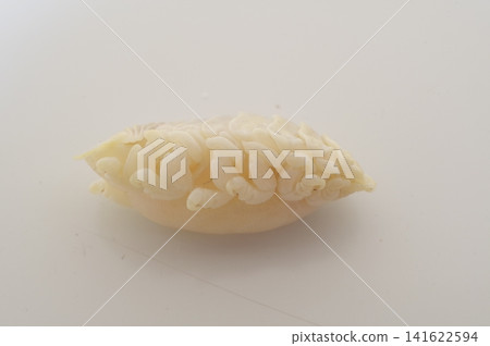 寄生蟲:一種甲殼類寄生蟲,會侵染鯛魚等魚類的口腔。 寄生蟲:一種甲殼類寄生蟲,會侵染鯛魚等魚類的口腔。 141622594
