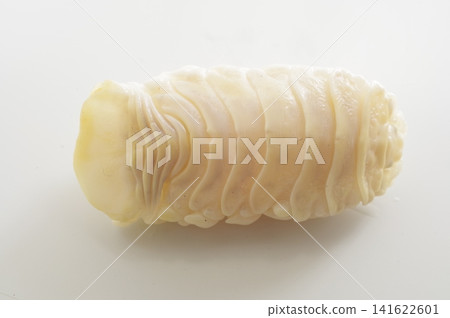 Isoe: A crustacean parasite that infests the oral cavity of fish such as sea bream. Isoe: A crustacean parasite that infests the oral cavity of fish such as sea bream. 141622601