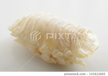 寄生蟲:一種甲殼類寄生蟲,會侵染鯛魚等魚類的口腔。 寄生蟲:一種甲殼類寄生蟲,會侵染鯛魚等魚類的口腔。 141622605