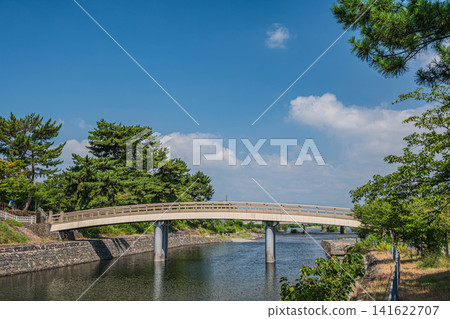 京都府宇治市宇治公園內的宇治川景、橘橋 京都府宇治市宇治公園內的宇治川景、橘橋 141622707