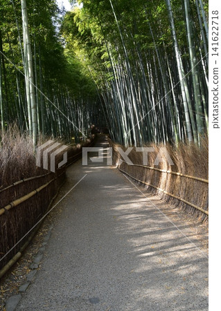 Kyoto in spring in Japan, the streets around Arashiyama, a bamboo forest path that is a tourist attraction, a mysterious path surrounded by lots of bamboo Kyoto in spring in Japan, the streets around Arashiyama, a bamboo forest path that is a tourist attraction, a mysterious path surrounded by lots of bamboo 141622718