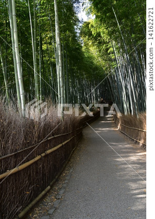 日本春天的京都，嵐山周圍的街道，作為旅遊勝地的竹林小路，一條被大量竹子包圍的神秘小路 141622721
