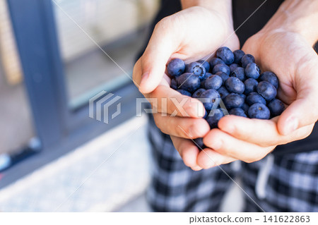Top view of barefoot teen holding full handful of ripe blue berries. Organic food, healthy eating and harvest concepts. Top view of barefoot teen holding full handful of ripe blue berries. Organic food, healthy eating and harvest concepts. 141622863