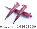 Freshly picked red okra 141623109