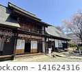 觀藏宅邸，櫻花正值盛開。 141624316