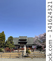 觀藏宅邸，櫻花正值盛開。 141624321