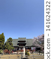 觀藏宅邸，櫻花正值盛開。 141624322