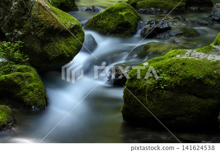 Long-exposure photography of the moss-covered valley at the source of the Serikawa River. Long-exposure photography of the moss-covered valley at the source of the Serikawa River. 141624538