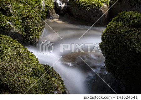 Long-exposure photography of the moss-covered valley at the source of the Serikawa River. Long-exposure photography of the moss-covered valley at the source of the Serikawa River. 141624541